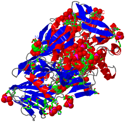 Image Asym./Biol. Unit - sites