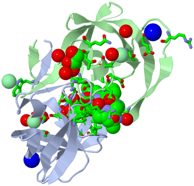 Image Asym./Biol. Unit - sites