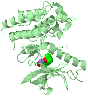 Image Biological Unit 2