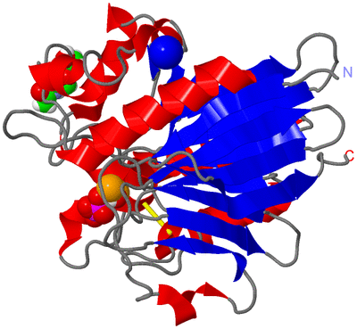 Image Asym./Biol. Unit