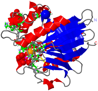 Image Asym./Biol. Unit - sites