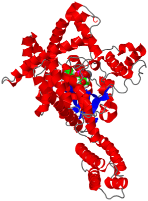 Image Asym./Biol. Unit