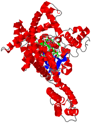 Image Asym./Biol. Unit - sites