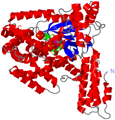 Image Asym./Biol. Unit