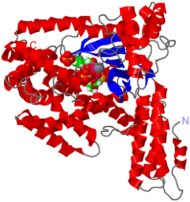 Image Asym./Biol. Unit