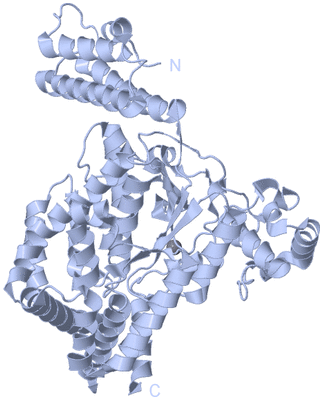 Image Biological Unit 1