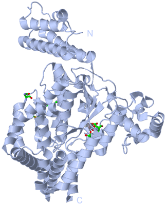 Image Biol. Unit 1 - sites