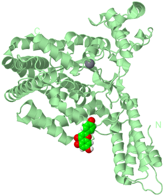 Image Biological Unit 2