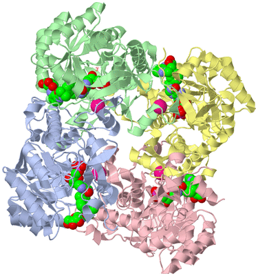 Image Biological Unit 1