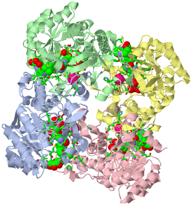 Image Biol. Unit 1 - sites