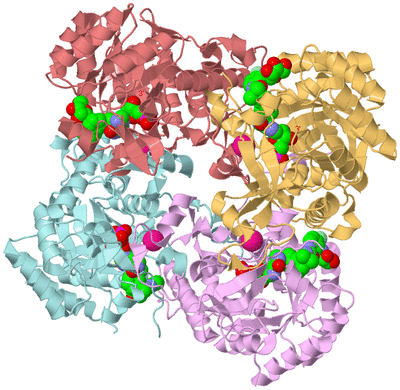 Image Biological Unit 2