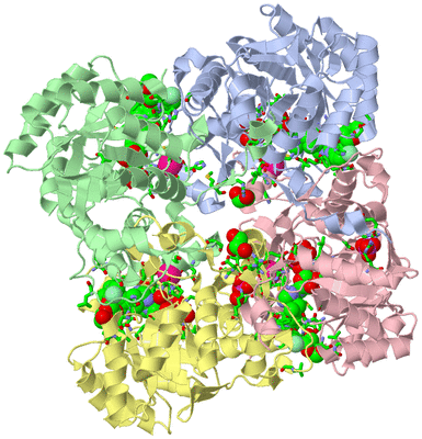 Image Biol. Unit 1 - sites