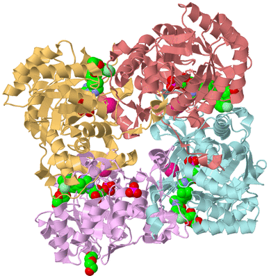 Image Biological Unit 2