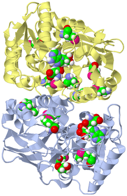 Image Biological Unit 1