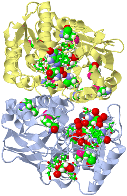 Image Biol. Unit 1 - sites