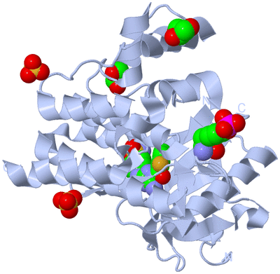 Image Biological Unit 1