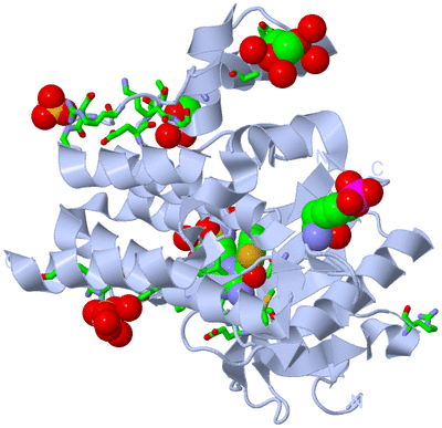 Image Biol. Unit 1 - sites