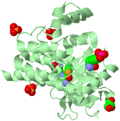 Image Biological Unit 2