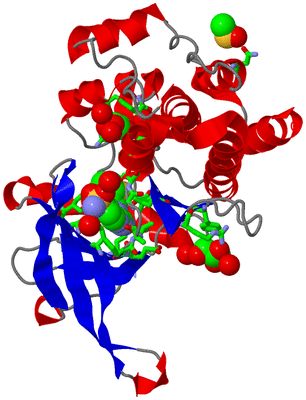 Image Asym./Biol. Unit - sites