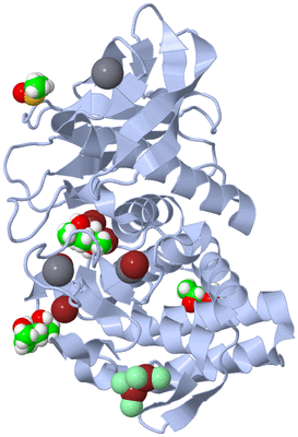 Image Biological Unit 1