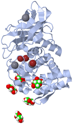 Image Biological Unit 1