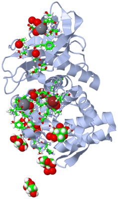 Image Biol. Unit 1 - sites