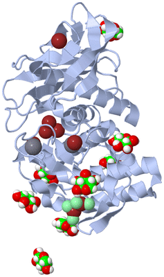 Image Biological Unit 1