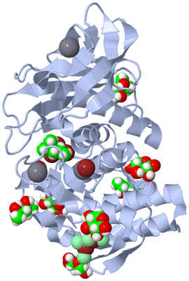 Image Biological Unit 1