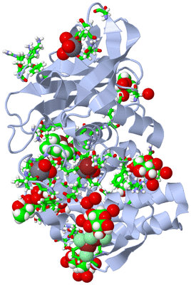 Image Biol. Unit 1 - sites