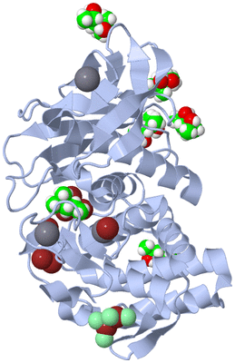 Image Biological Unit 1