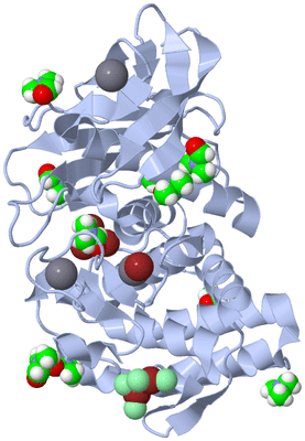 Image Biological Unit 1