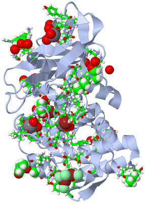 Image Biol. Unit 1 - sites