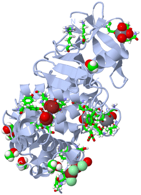 Image Biol. Unit 1 - sites