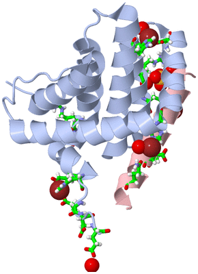 Image Biol. Unit 1 - sites