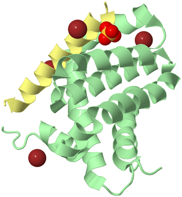 Image Biological Unit 2