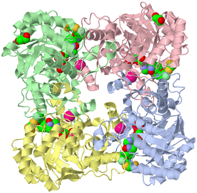 Image Asym./Biol. Unit