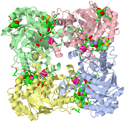 Image Asym./Biol. Unit - sites