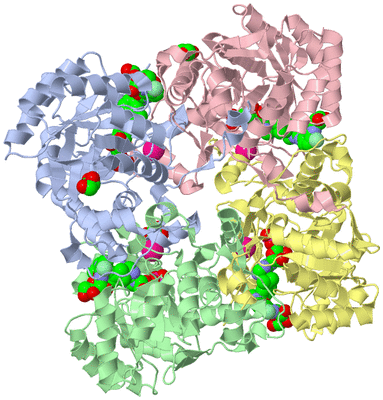 Image Biological Unit 1