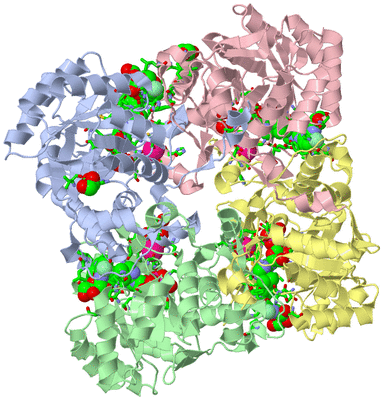 Image Biol. Unit 1 - sites