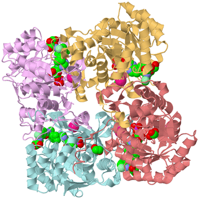 Image Biological Unit 2