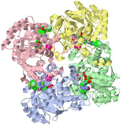 Image Biological Unit 1