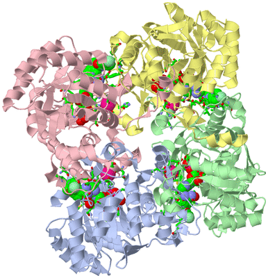 Image Biol. Unit 1 - sites