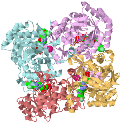 Image Biological Unit 2