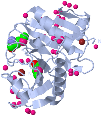 Image Biological Unit 1