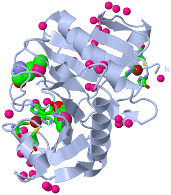 Image Biol. Unit 1 - sites