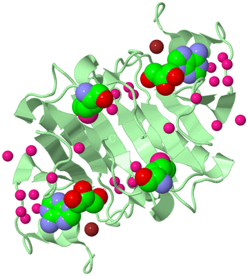 Image Biological Unit 2