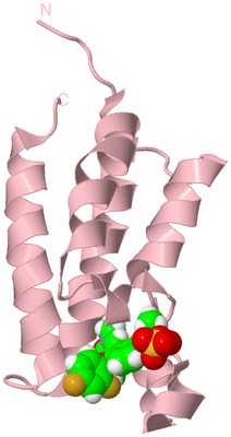 Image Biological Unit 1