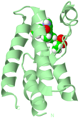 Image Biological Unit 3