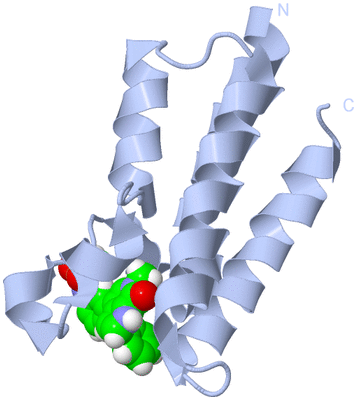 Image Biological Unit 1