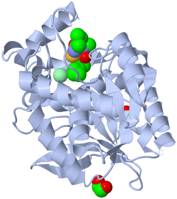 Image Biological Unit 1